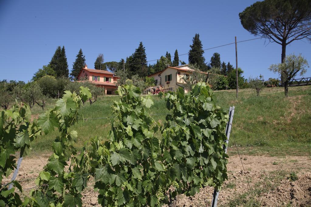 Agriturismo Podere Poggio Ai Cieli San Gimignano Exterior foto